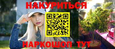 крисы Будённовск