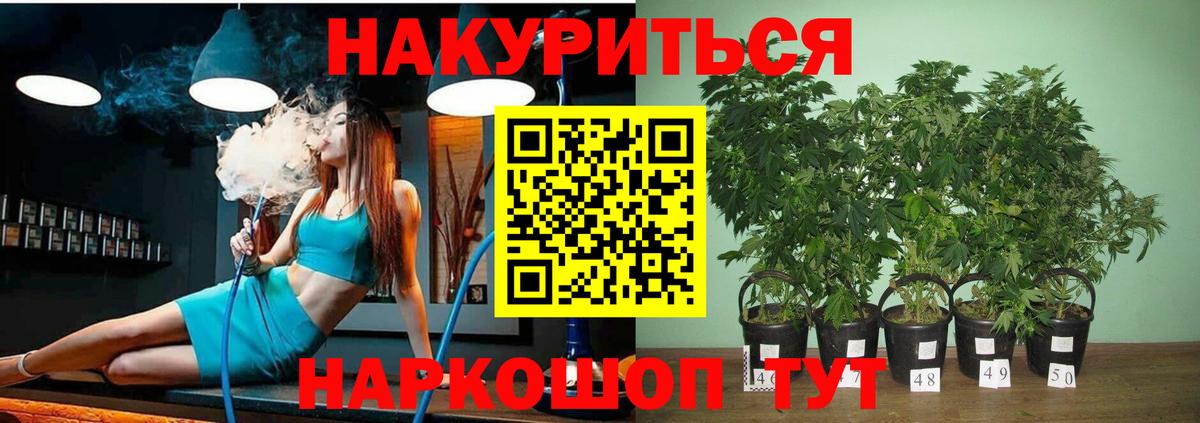 Шишки марихуана Ganja  Канабис AK-47  Соль-Илецк  Вход с VPN 